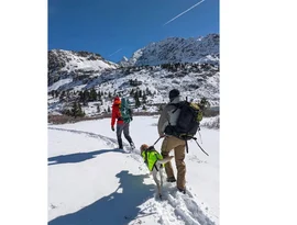 Dois estudantes universitários foram encontrados mortos após desaparecerem durante uma caminhada no Colorado.