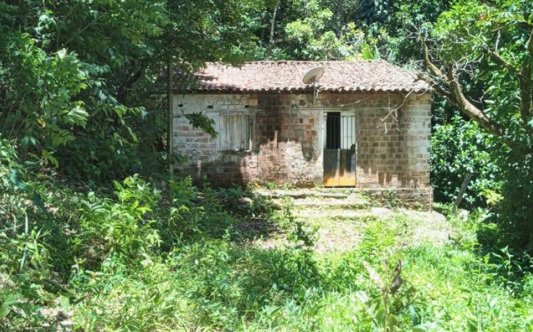 Convívio Social remove estrutura irregular construída em área verde no bairro Petrópolis