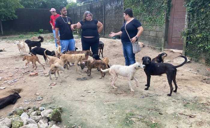 Comissão encontrou animais em condições adequadas