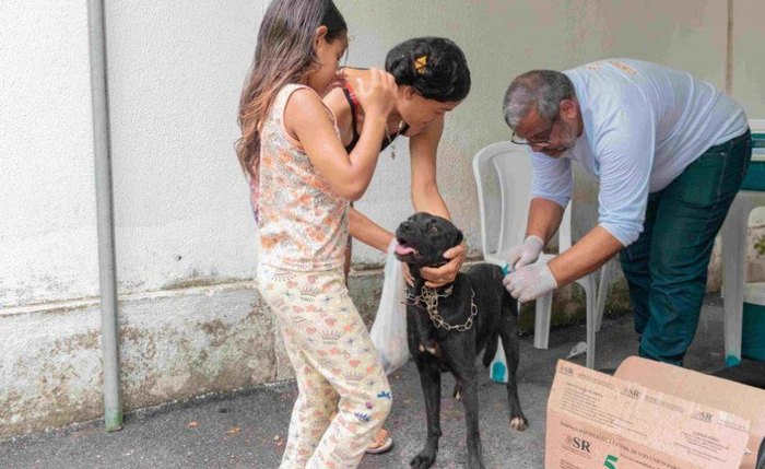 Vacinação antirrábica é imprescindível para manter a saúde dos pets