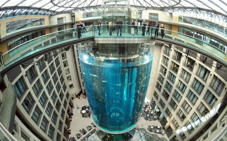 Aquário gigante explode e espalha 1.400 peixes exóticos em Berlim, capital alemã
