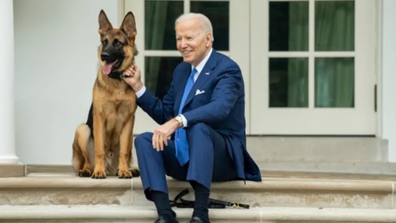 Cachorro de Biden é submetido a novo treinamento após morder agentes do Serviço Secreto