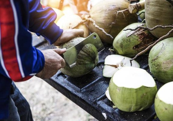 Plenário define incentivos à produção de coco no Brasil