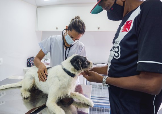 Diretora da Secretaria de Bem Estar Animal tem pesquisa premiada em evento internacional