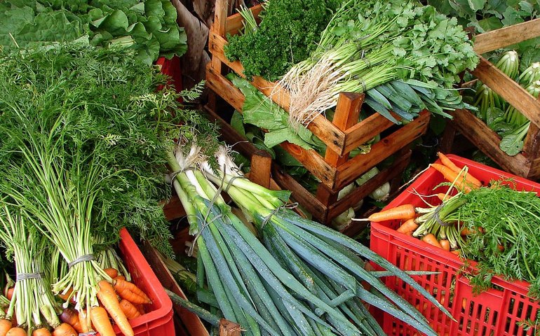 Custo de cesta básica ideal para uma pessoa chega a R$ 432 em abril