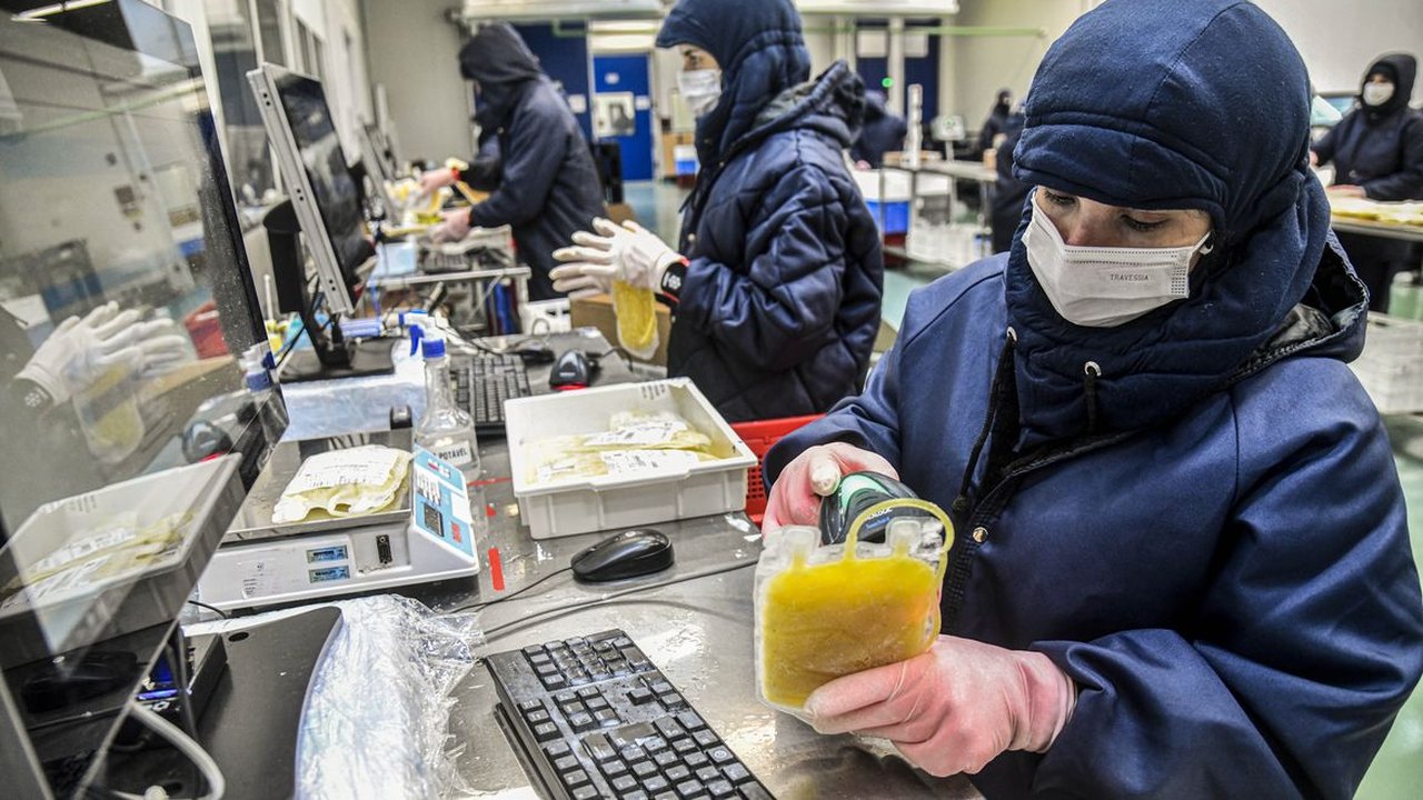 Câmara aprova dispensa de licitação para medicamentos produzidos pela Hemobrás