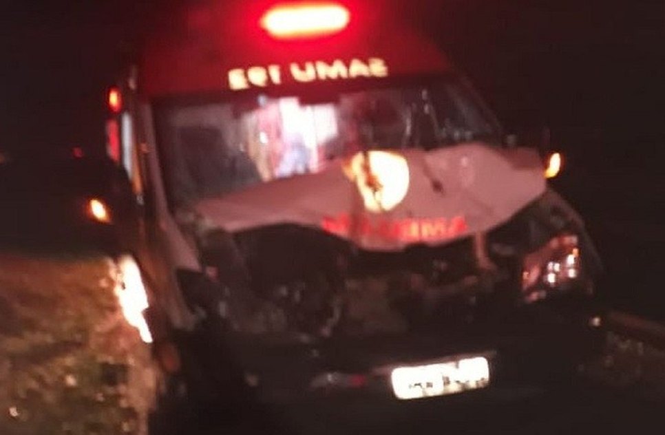 Ambulância colide com animais 
