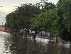 WhatsApp Image 2026-03-02 at 17.10.34 (2).jpeg 