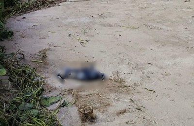 Polícia Científica atua para identificar ossada humana encontrada em São Miguel dos Milagres