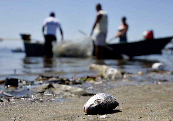 Mais de 12 mil licenças de pescadores profissionais são suspensas