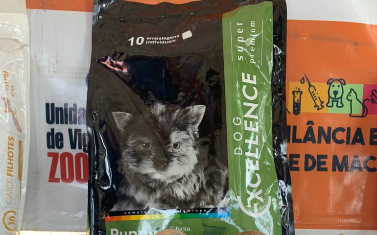 Mais de 50 animais têm novo lar com Feira de Adoção da Prefeitura