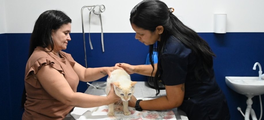 Fazendo especialização em Medicina Felina, Nathalia conta que desde a infância conviveu com muitos animais em casa. Foto: Roger Silva/Ascom Sebema