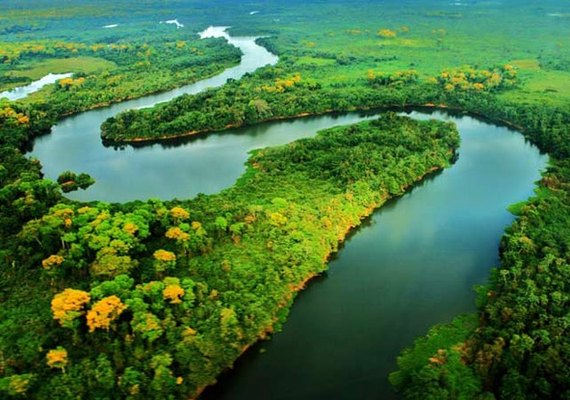 CMA recria Subcomissão do Pantanal e debaterá Fundo Amazônia