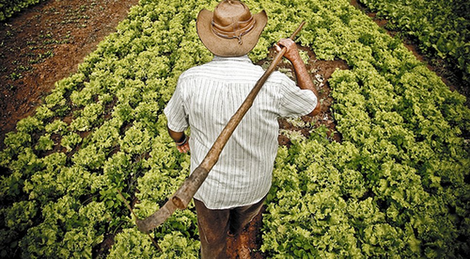 agricultor
