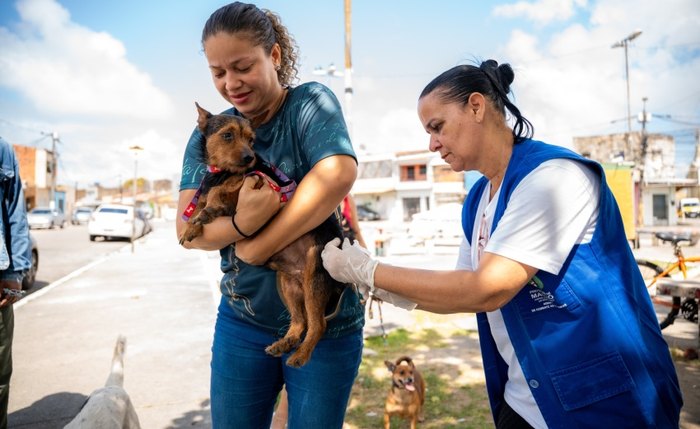 Vacinação antirrábica entra em reta final