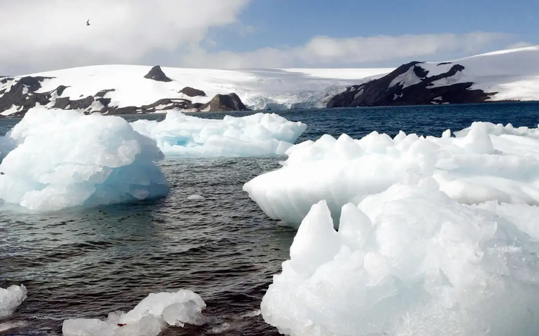 Maior iceberg do mundo encalha e evita colisão com santuário marinho na Antártida