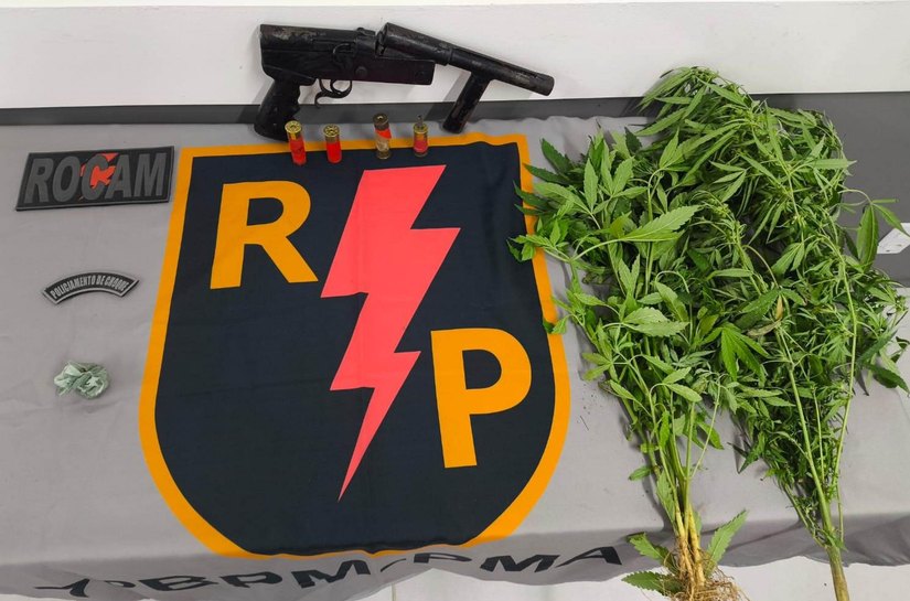 Polícia flagra plantio de maconha e apreende armas em Alagoas