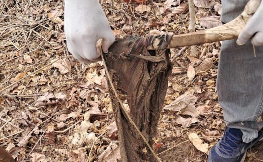 Ossadas encontradas no Feitosa podem estar ligadas a homicídios no Vale do Reginaldo