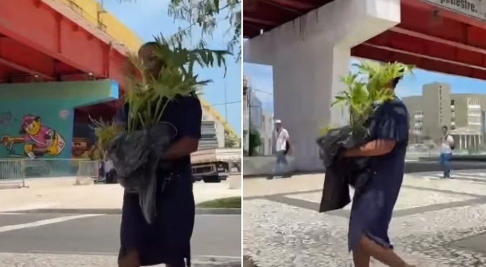 mulher-e-vista-levando-muda-de-arvore-do-renasce-salgadinho-foto-reproducao-redes-sociais_widexl_widexl