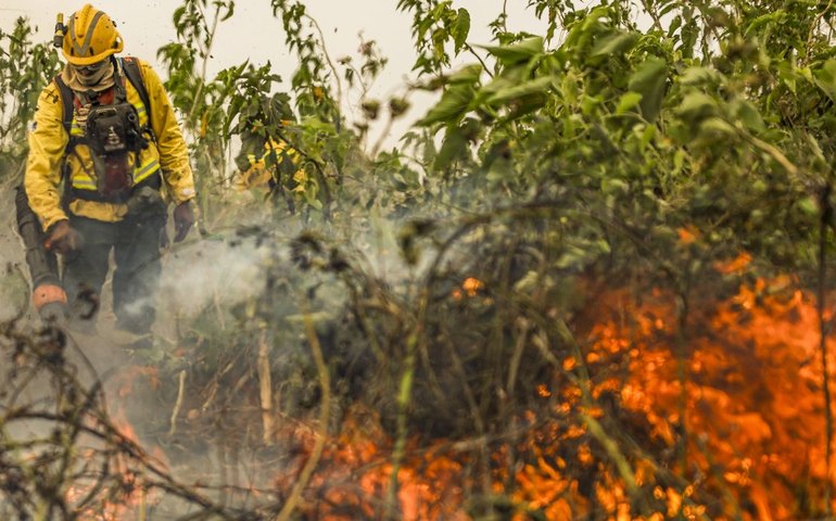 Brasil já registou mais de 154 mil focos de calor este ano 