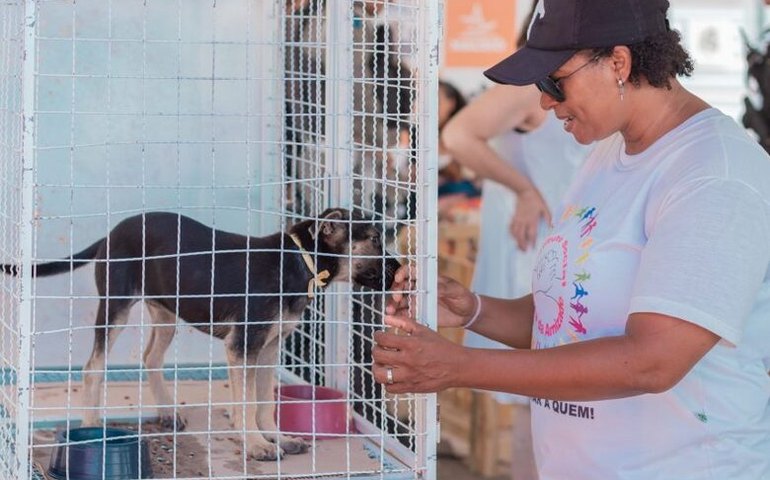 Feira de Adoção garante lares para oito animais neste final de semana