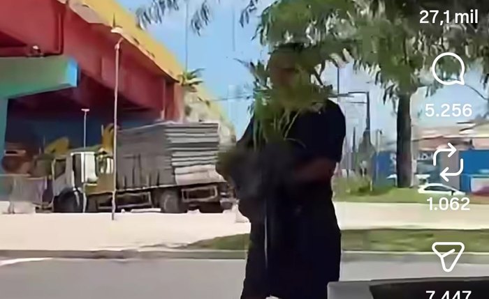 Mulher filmada com planta afirma que ganhou a muda da planta do trabalhador no Salgadinho
