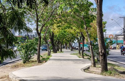 Obras da ciclovia da Avenida Fernandes Lima continuam em andamento