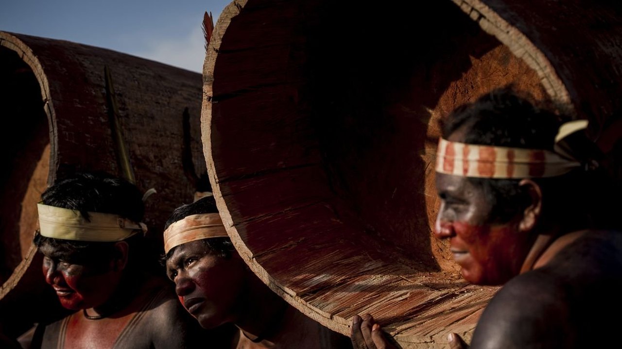 Coalizão do agronegócio e ambientalistas pede proteção a povos indígenas