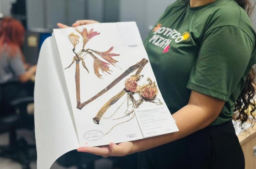 Herbário do IMA promove mostra interativa durante a 24ª Semana Nacional dos Museus