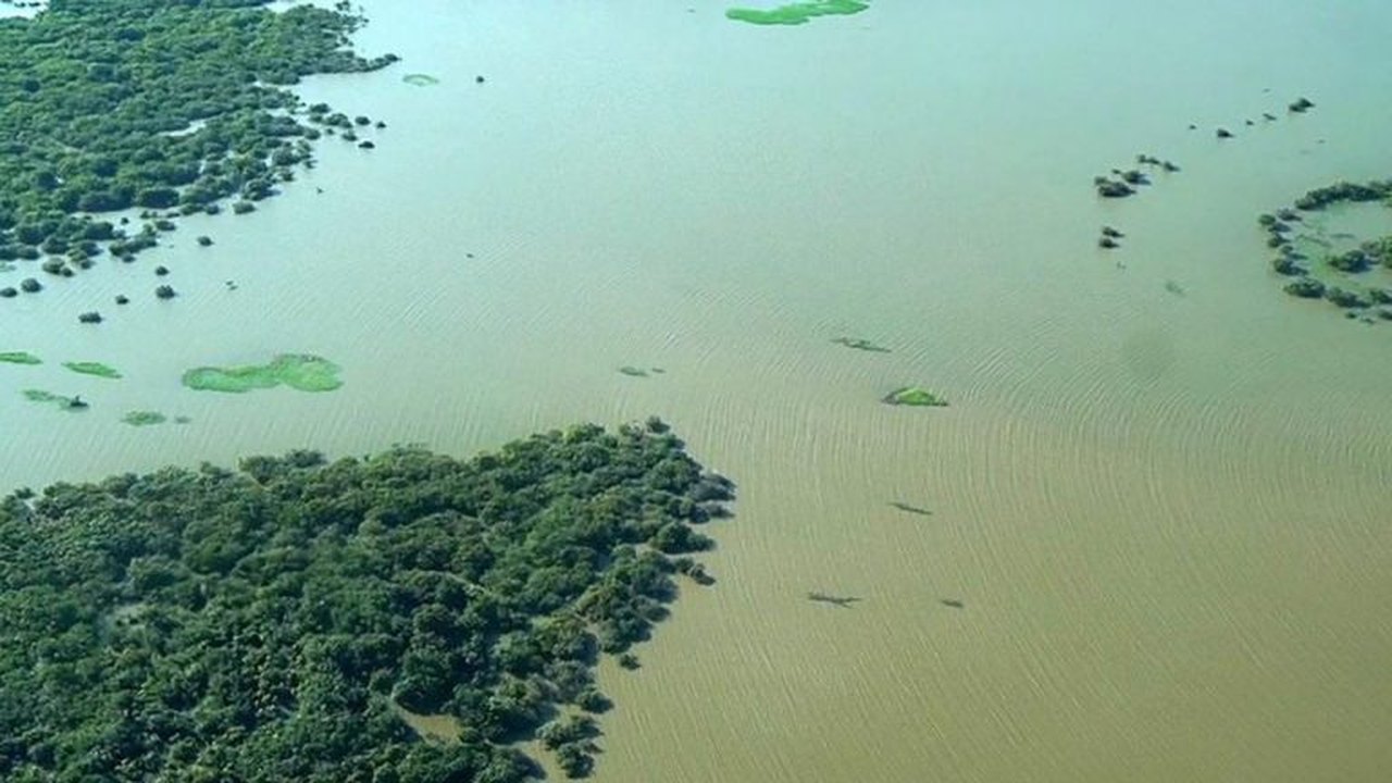 ‘Anúncio deplorável no pior momento’: jornais estrangeiros repercutem aval para pesquisar petróleo na Foz do Amazonas