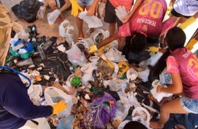 Mês do Meio Ambiente: Projetos do IMA apoiados pela Equatorial contribuem para a preservação da natureza em Alagoas