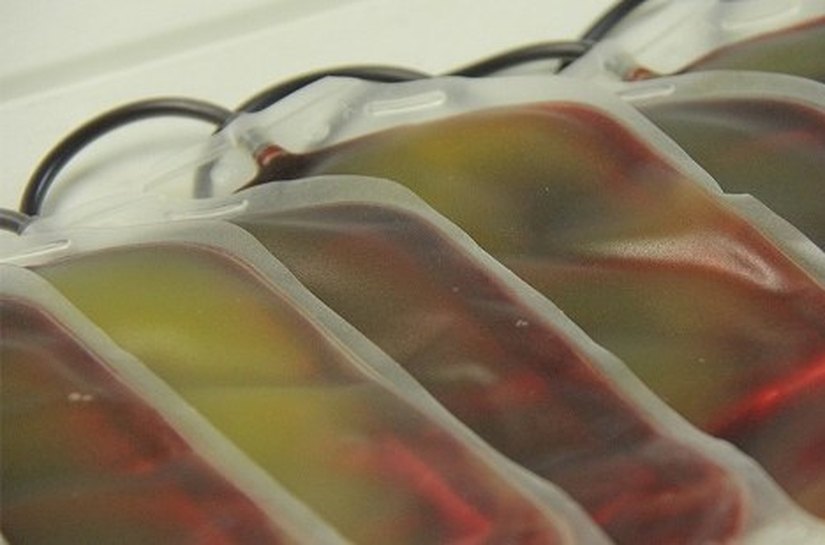 Hemoar recebe mais de cem doações no Dia Nacional do Doador de Sangue