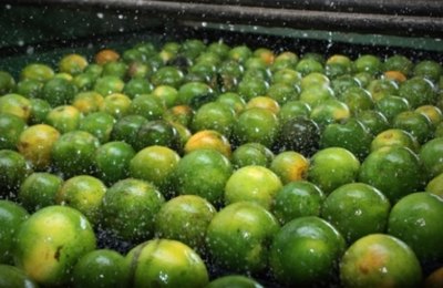 Desenvolve apresenta linhas de crédito a pequenos produtores de Santana do Mundaú