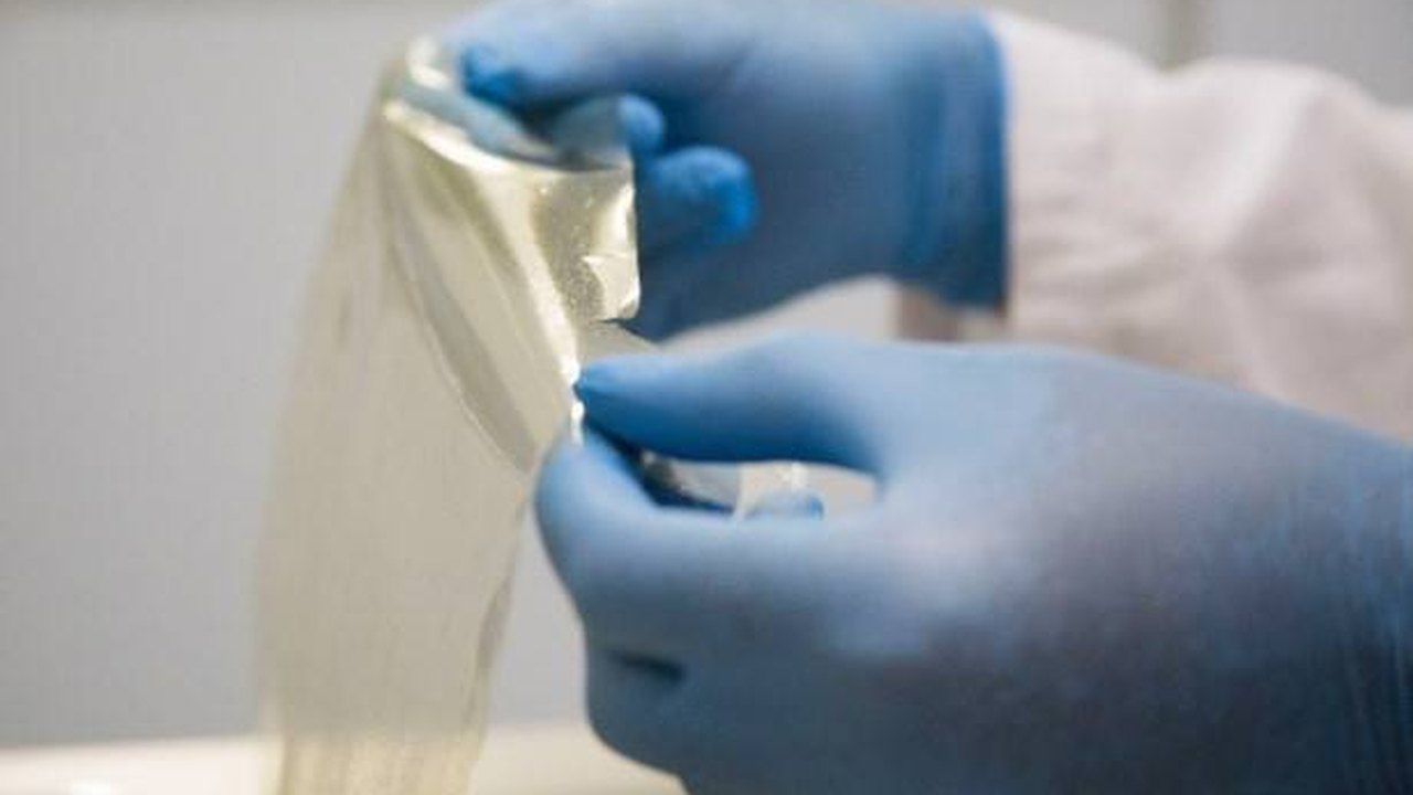Comissão analisa incentivos fiscais para plásticos biodegradáveis