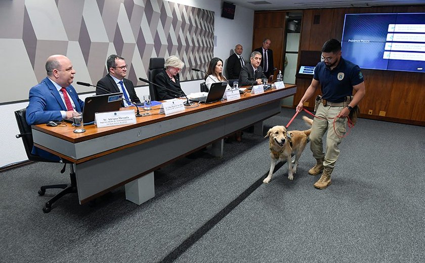 Audiência na CMA discutiu segurança no transporte de animais em voos