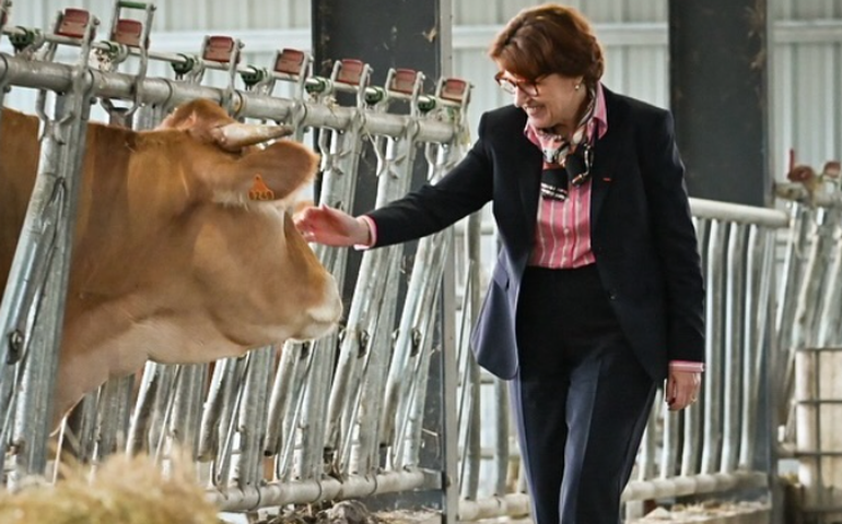 Ministra da Agricultura da França critica acordo UE-Mercosul: 'Concorrência desleal'