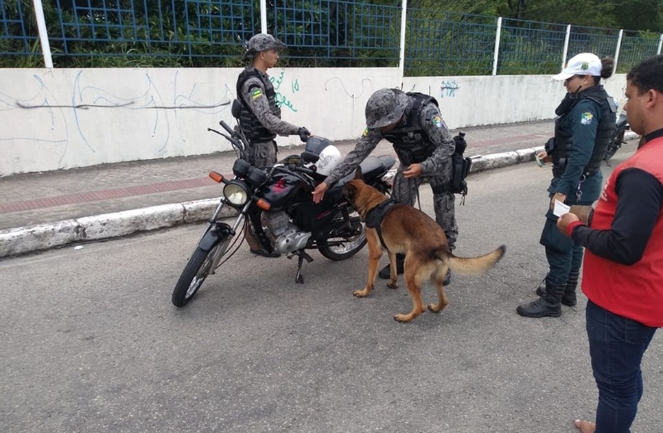 cães farejadores / Foto: SSP/ Sergipe
