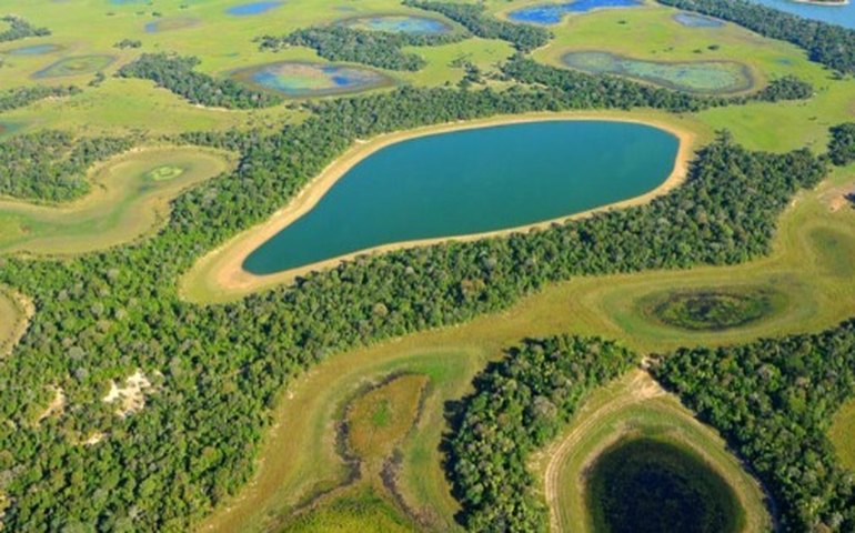 Governo federal vai financiar projetos de desenvolvimento para a região do Pantanal