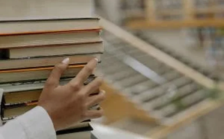 Dia da Literatura Brasileira: cinco obras nacionais para conhecer na data