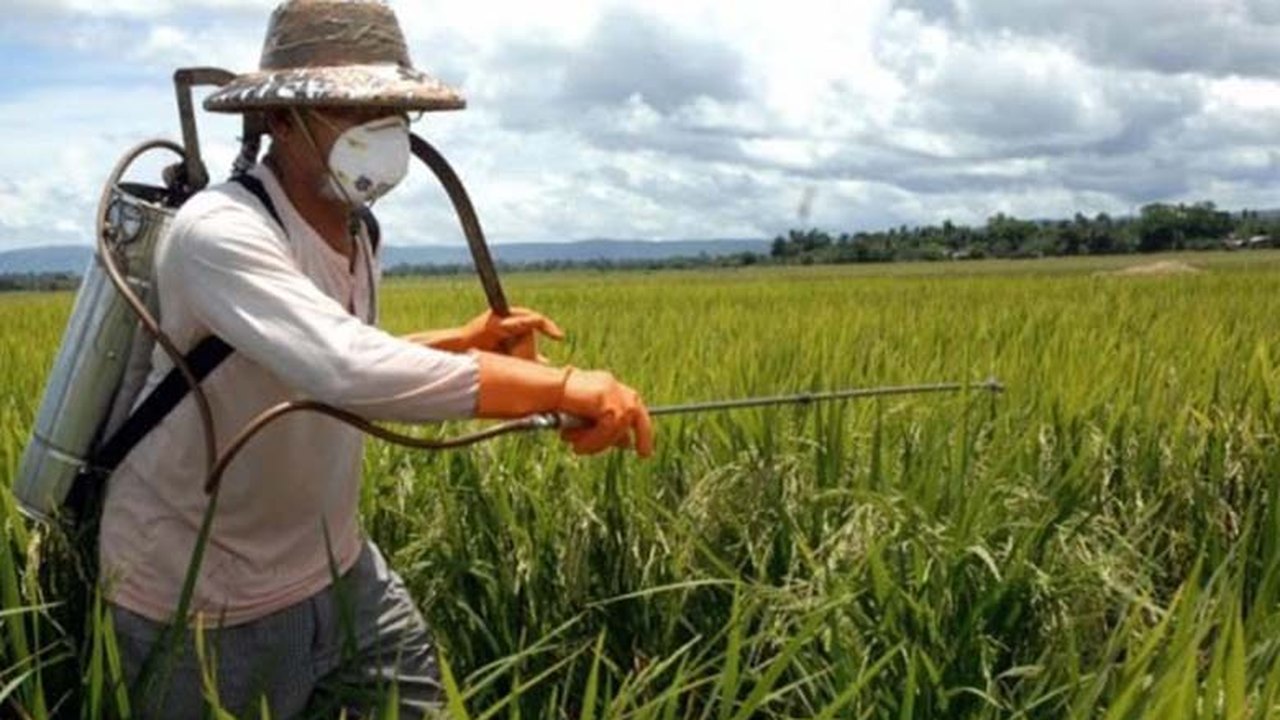 Governo inicia processo para regulamentar legislação estadual de agrotóxicos