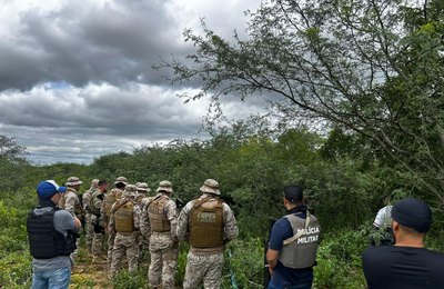 PMAL e PF destroem mais de 2,8 mil pés de maconha em Alagoas e Pernambuco