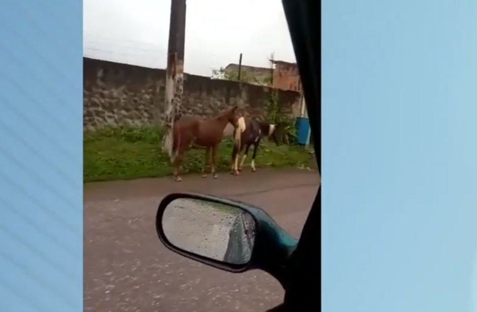 EMSURB afirma que casos como esse devem ser denunciados à empresa. / Foto: Imagem: Reprodução/TV Atalaia