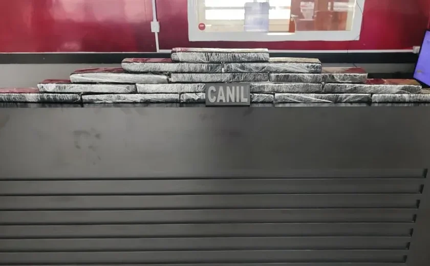 PM e PRF apreendem mais de 23 quilos de drogas em ônibus interestaduais em São Sebastião