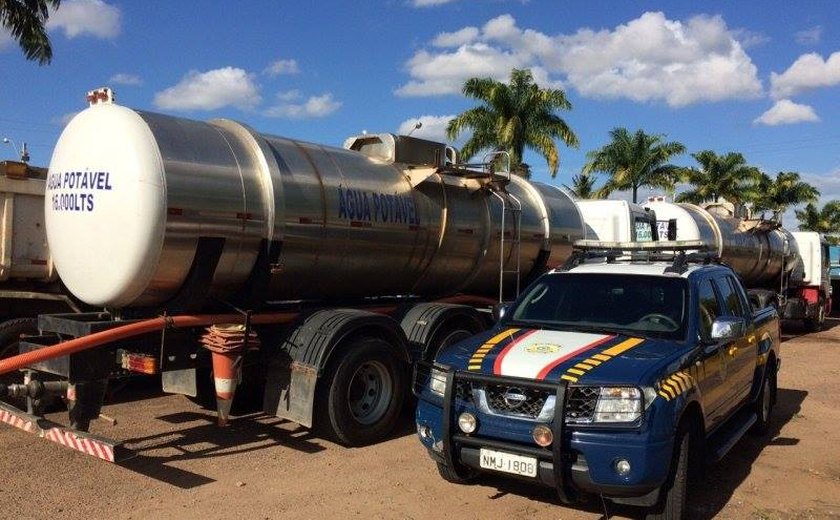 PRF flagra em Palmeira condutor de caminhão cometendo crime ambiental