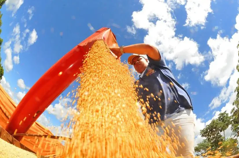 IBGE prevê safra recorde de 346 milhões de toneladas em 2025