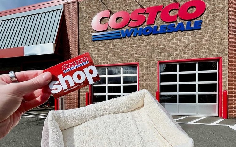 Costco supera previsão de lucro no 4º trimestre fiscal, mas decepciona em receita