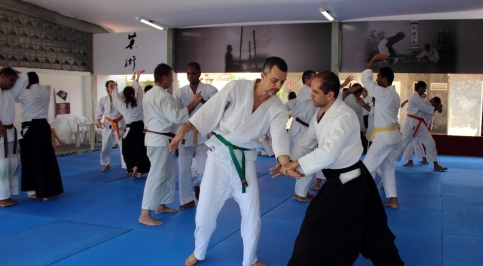 budo