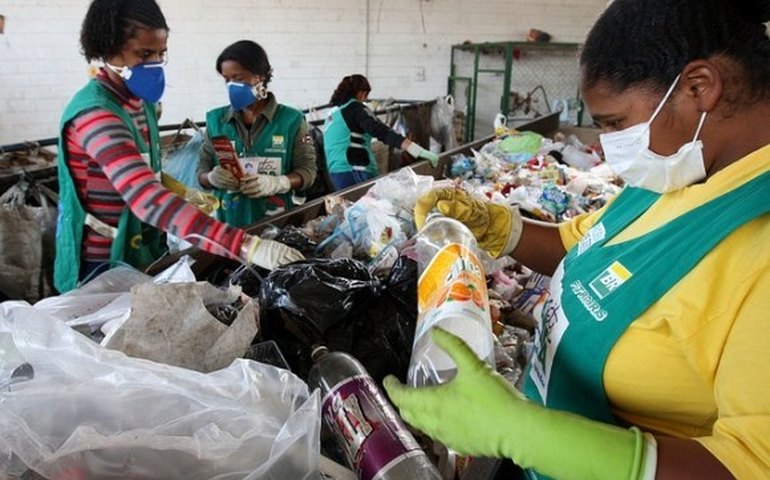 Governo lança programa Cata Mais nesta quinta-feira (9)