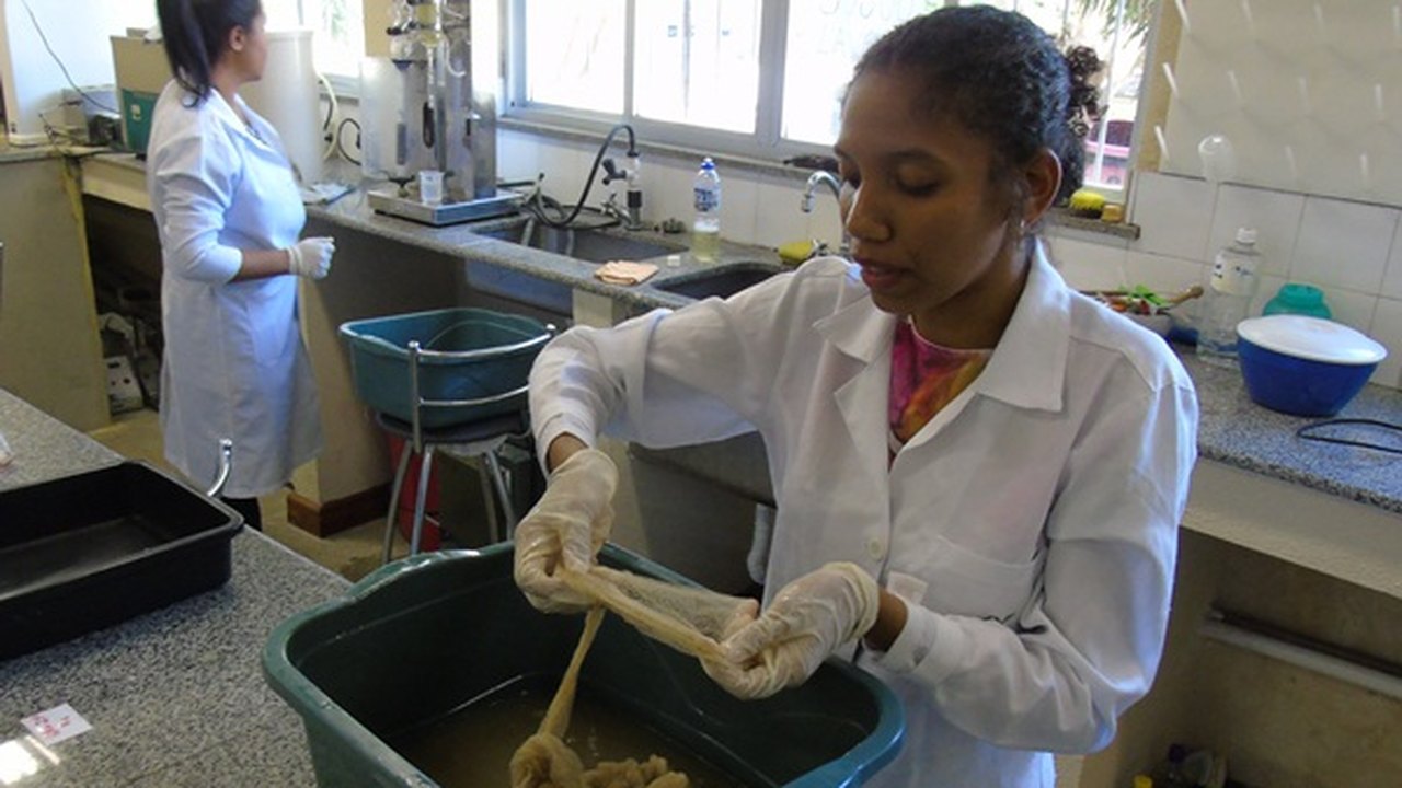 Pesquisadora da Uesb desenvolve plásticos biodegradáveis e antimicrobianos