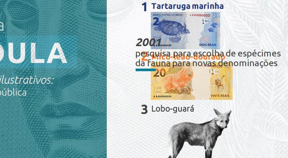 CÉDULA LOBO GUARÁ